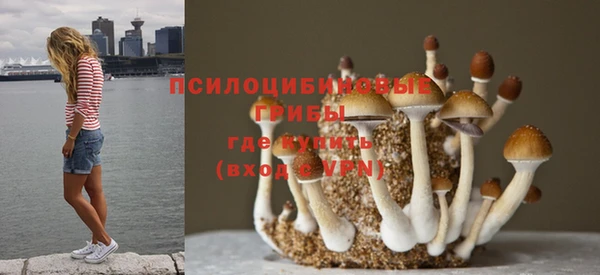 трава Надым