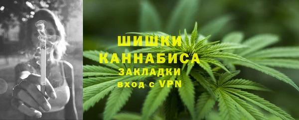 трава Надым