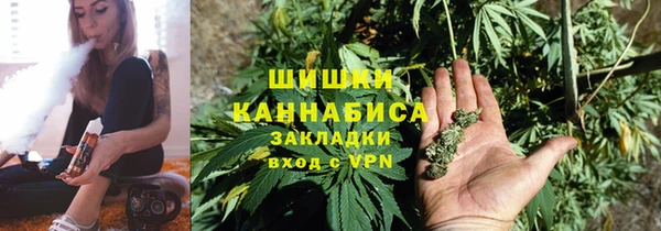 трава Надым