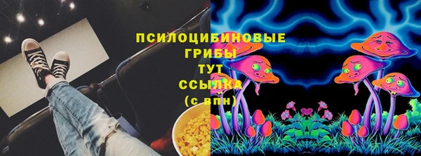 трава Надым