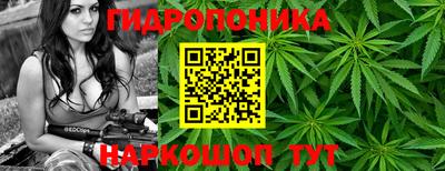 соль курить ск Гай