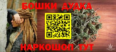 PSILOCYBIN Кингисепп