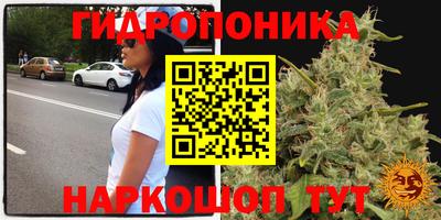 прущая мука Гатчина