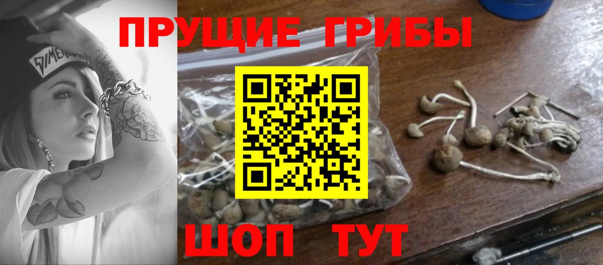 Калининград  Псилоцибиновые грибы Magic Shrooms  Вход с VPN 